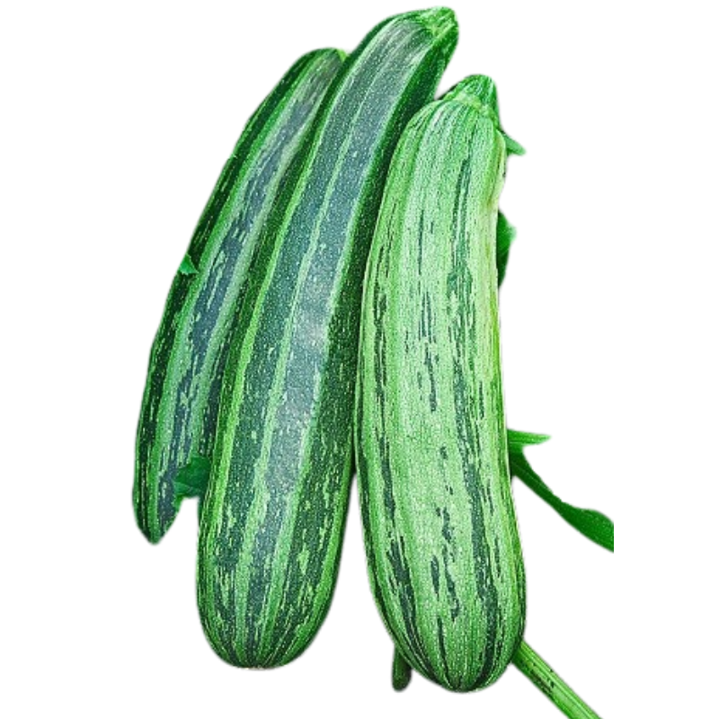Sukini